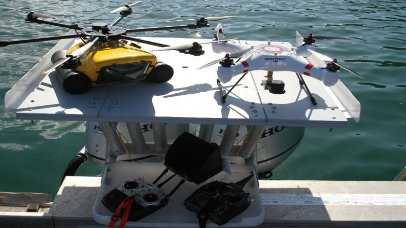 The Use of Unmanned Aerial Systems in Marine Mammal Research