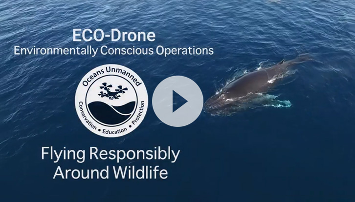 Eco-Drone Video