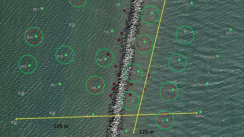 Sea Turtle Survey