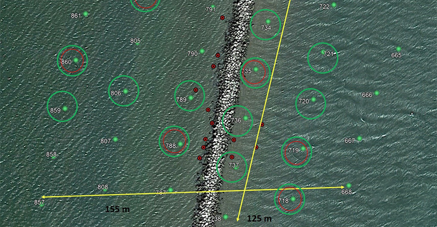 Sea Turtle Survey